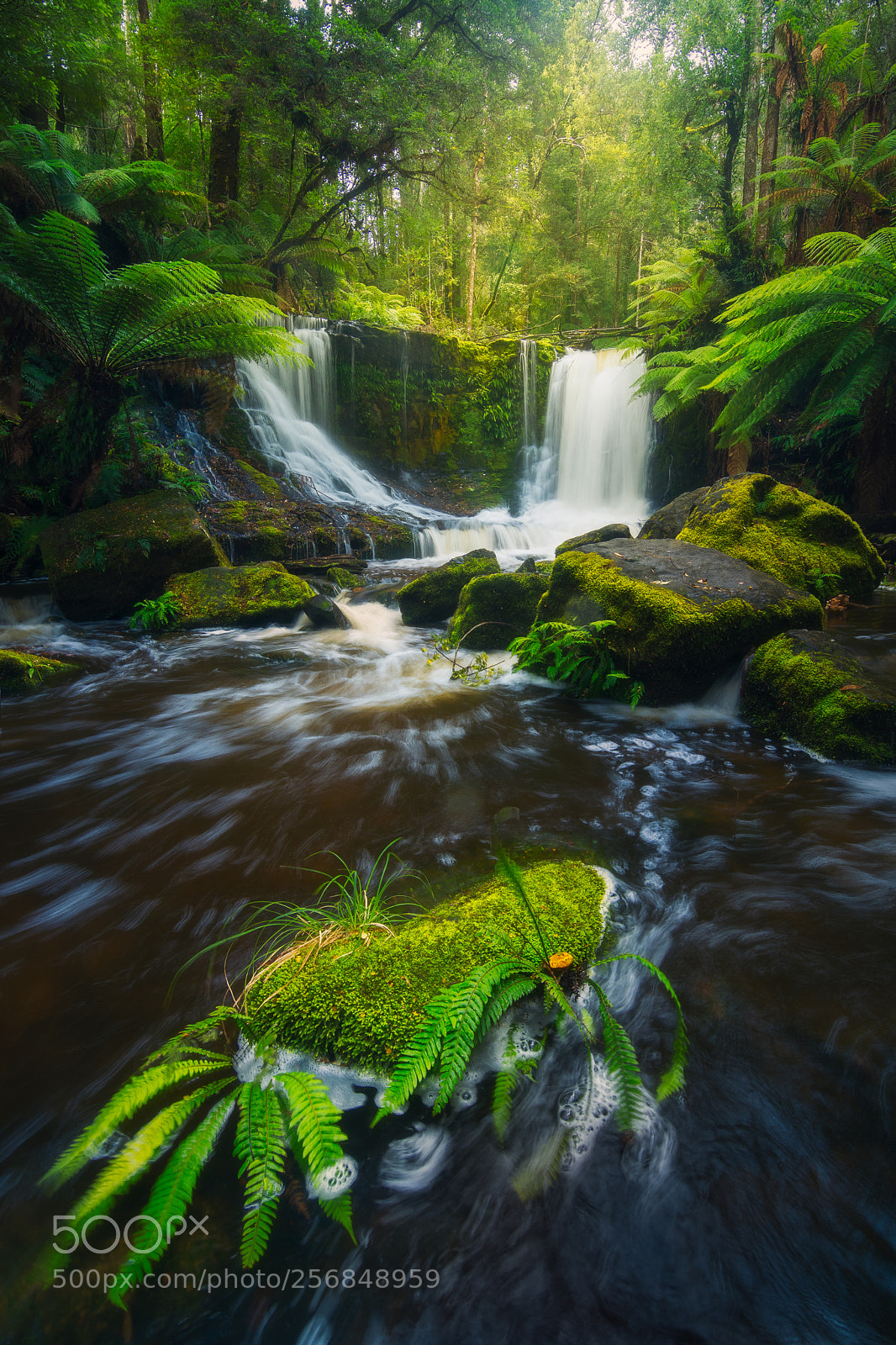 Nikon D5200 sample photo. Horseshoe falls photography