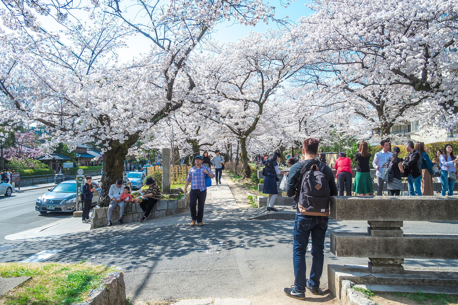 Fujifilm X-A10 sample photo. Park photography