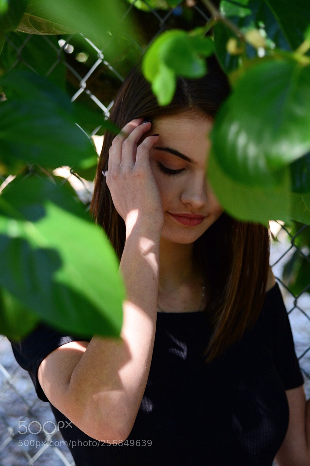 Nikon D5200 sample photo. Down photography