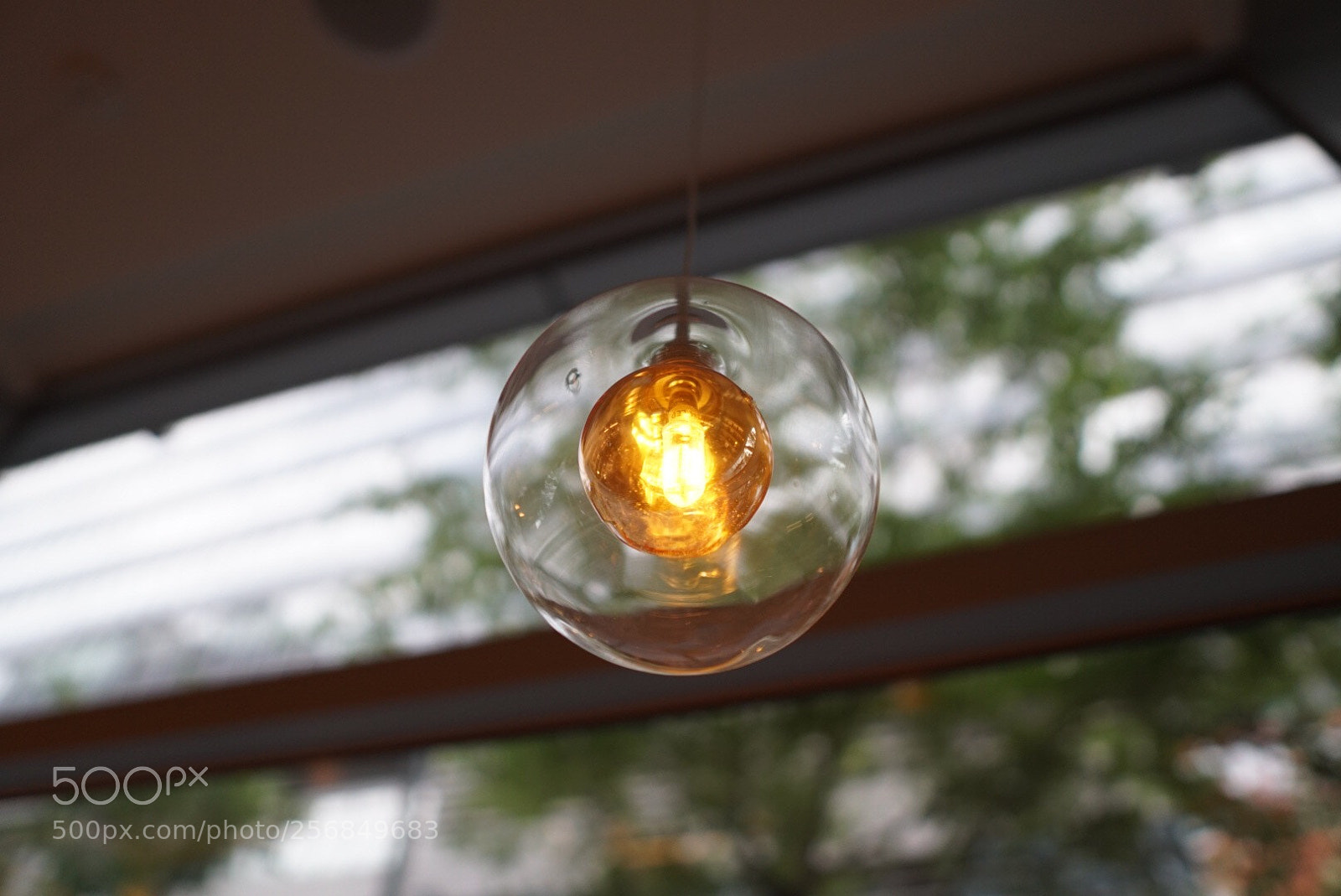 Sony a6300 sample photo. Untitled photography