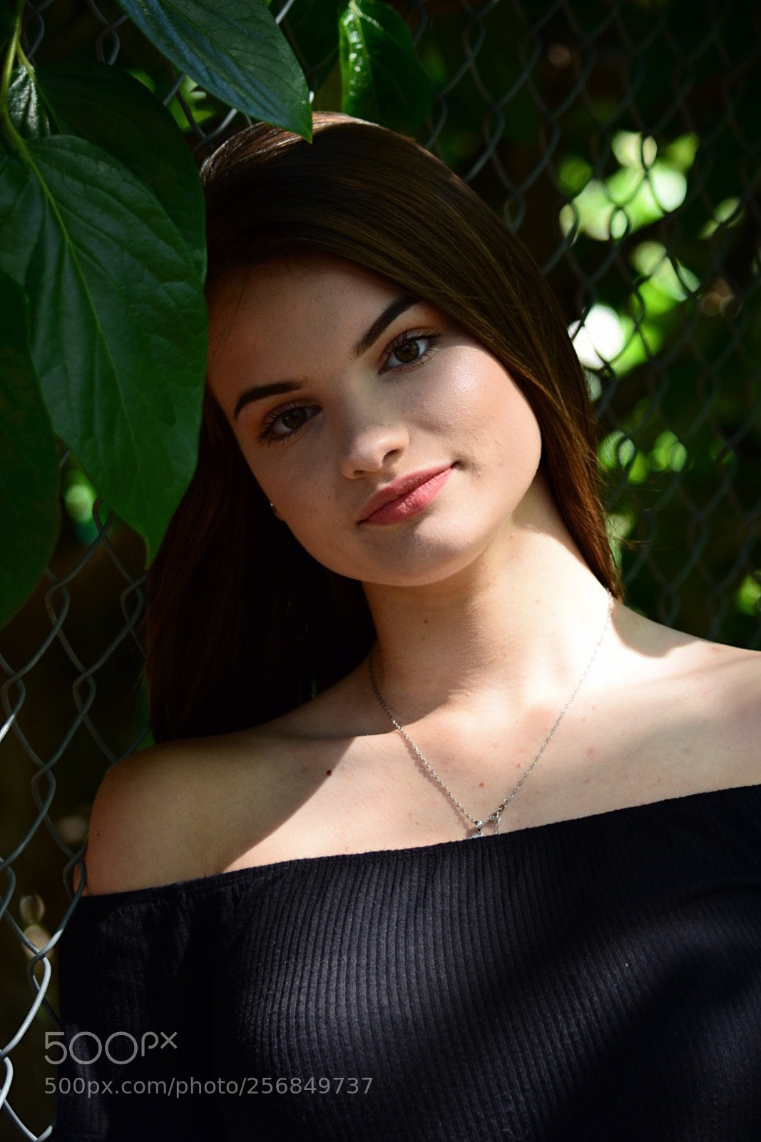 Nikon D5200 sample photo. Rose photography