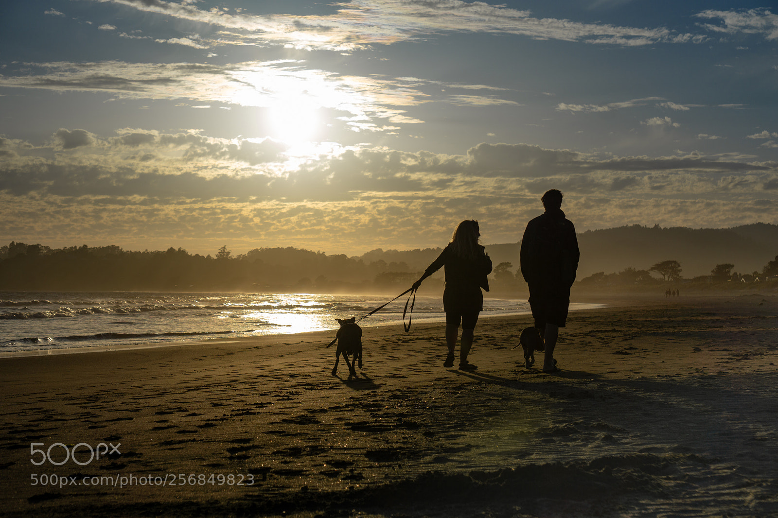 Sony a6000 sample photo. Walk on the beach photography