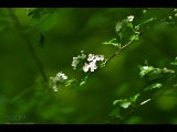 Nikon D500 sample photo. Untitled photography