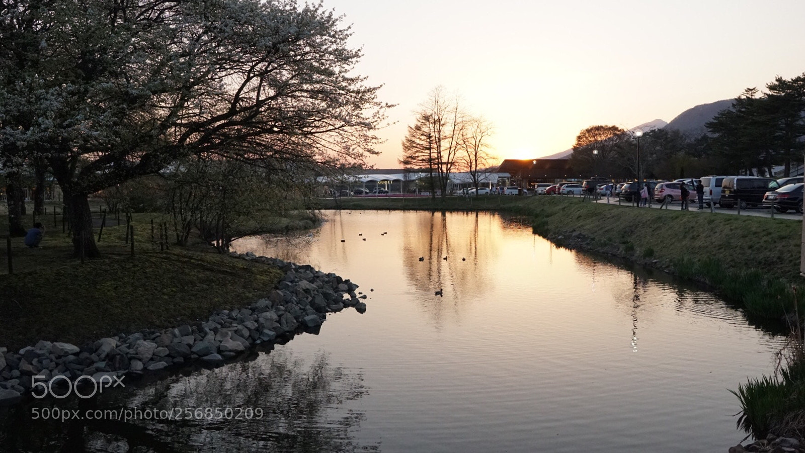 Sony a6300 sample photo. Untitled photography