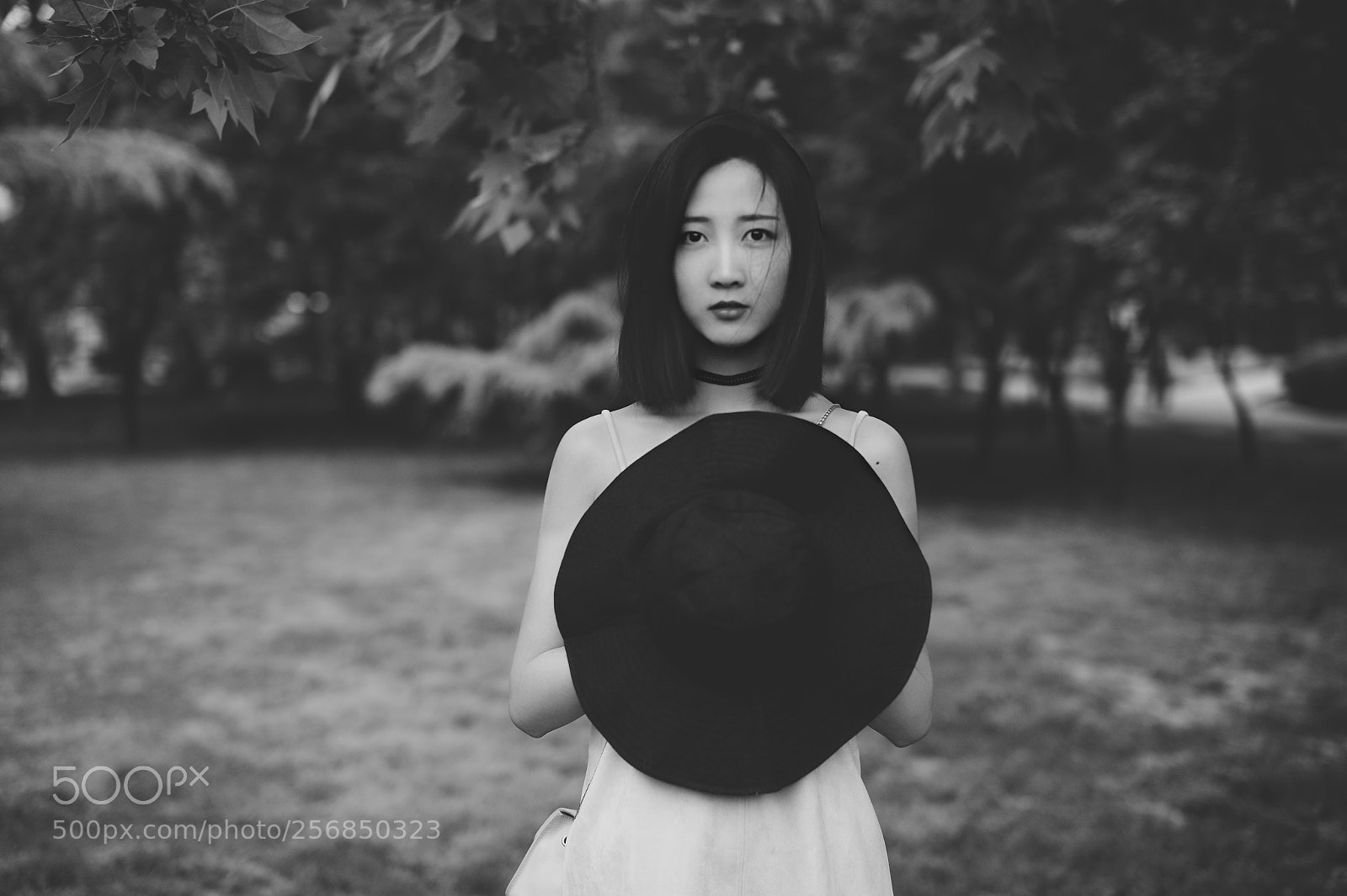 Leica M9 sample photo. Untitled photography