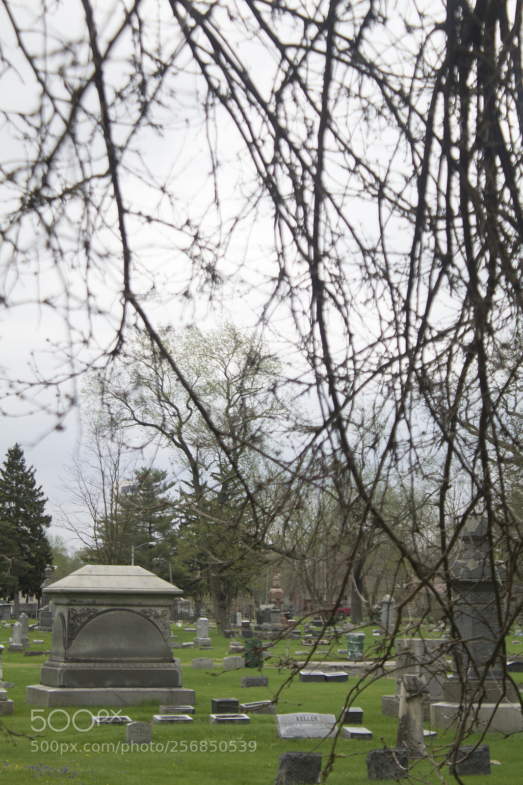 Canon EOS 1200D (EOS Rebel T5 / EOS Kiss X70 / EOS Hi) sample photo. Branches and gravestone amongst photography