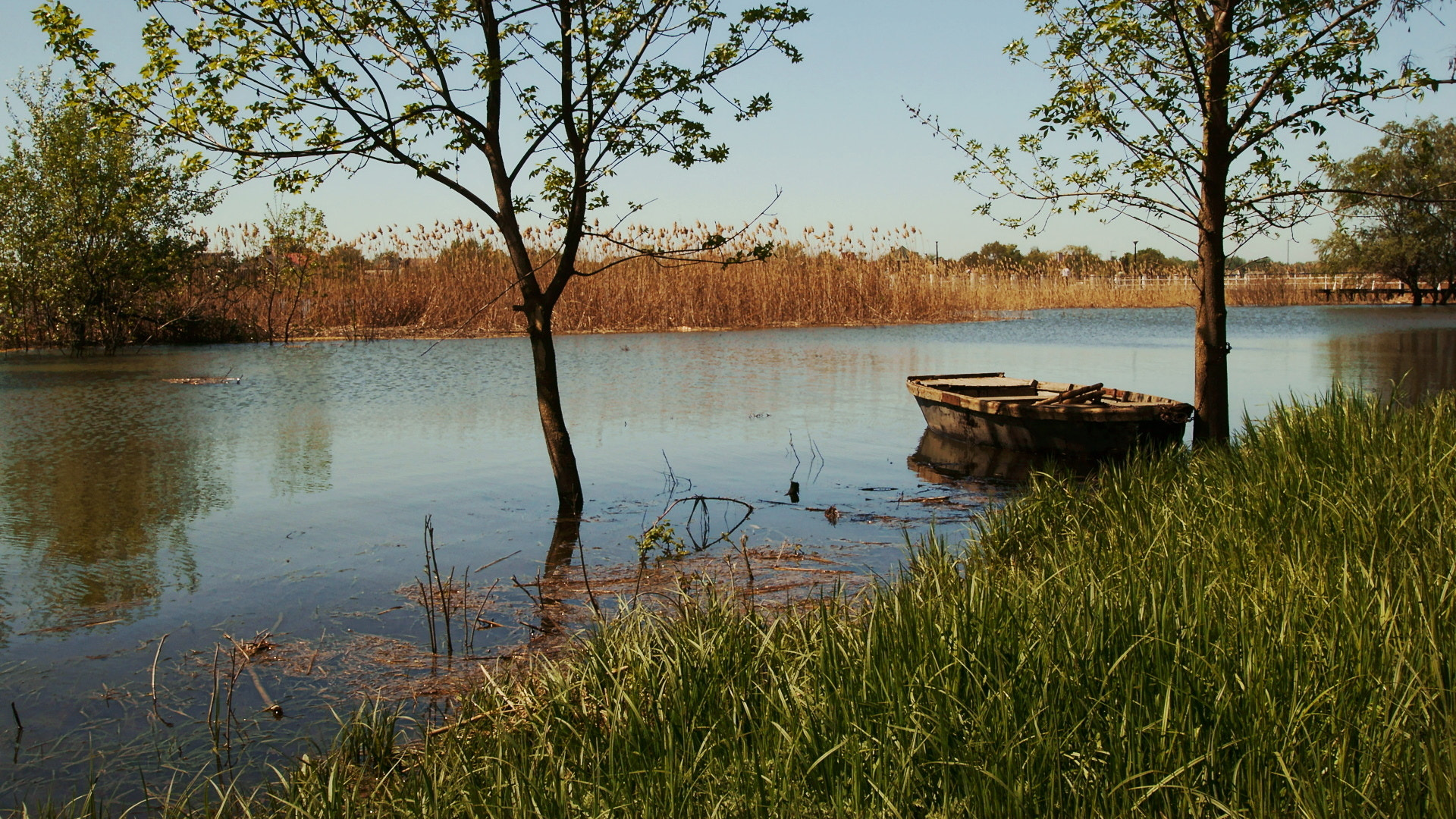 Sony SLT-A57 + Tamron Lens (255) sample photo. Большая вода... (2) photography