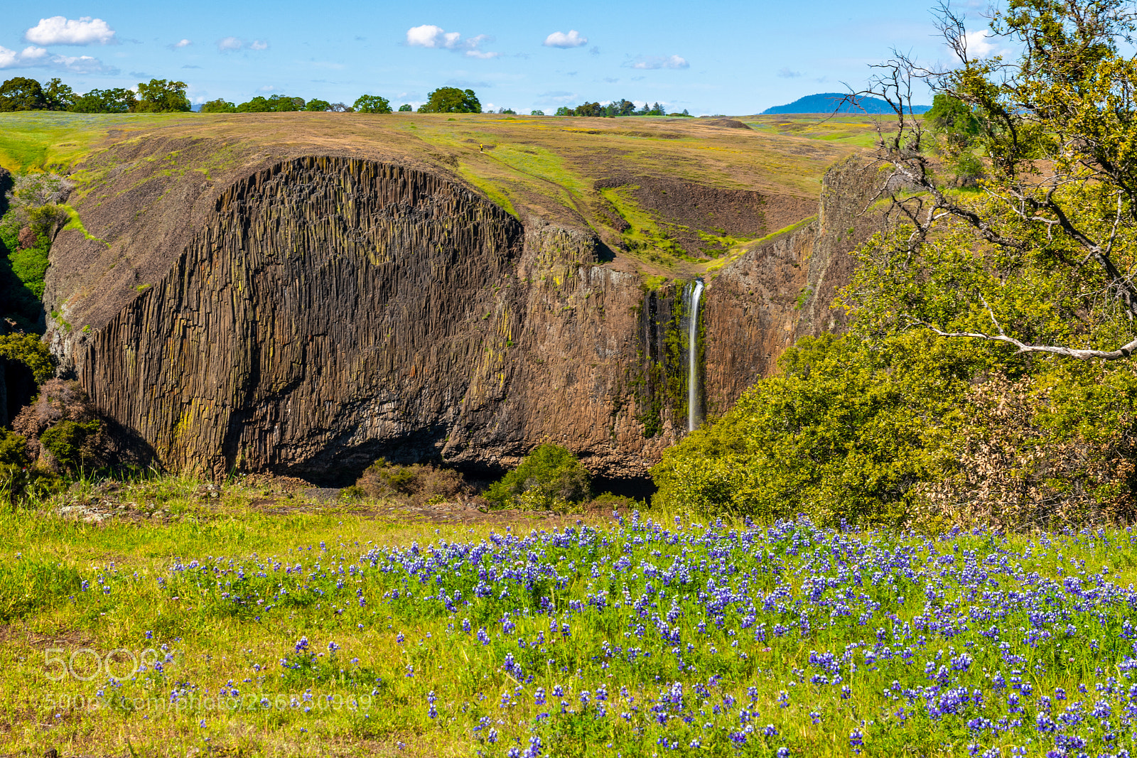 Nikon D850 sample photo. Phantom fall photography