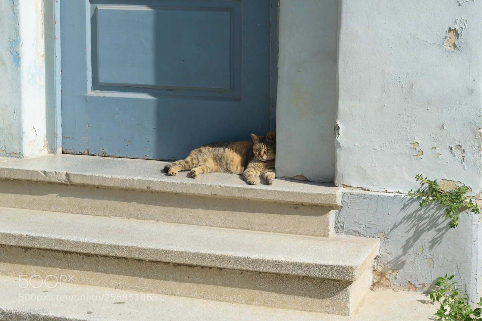 Nikon D3300 sample photo. Leisure photography