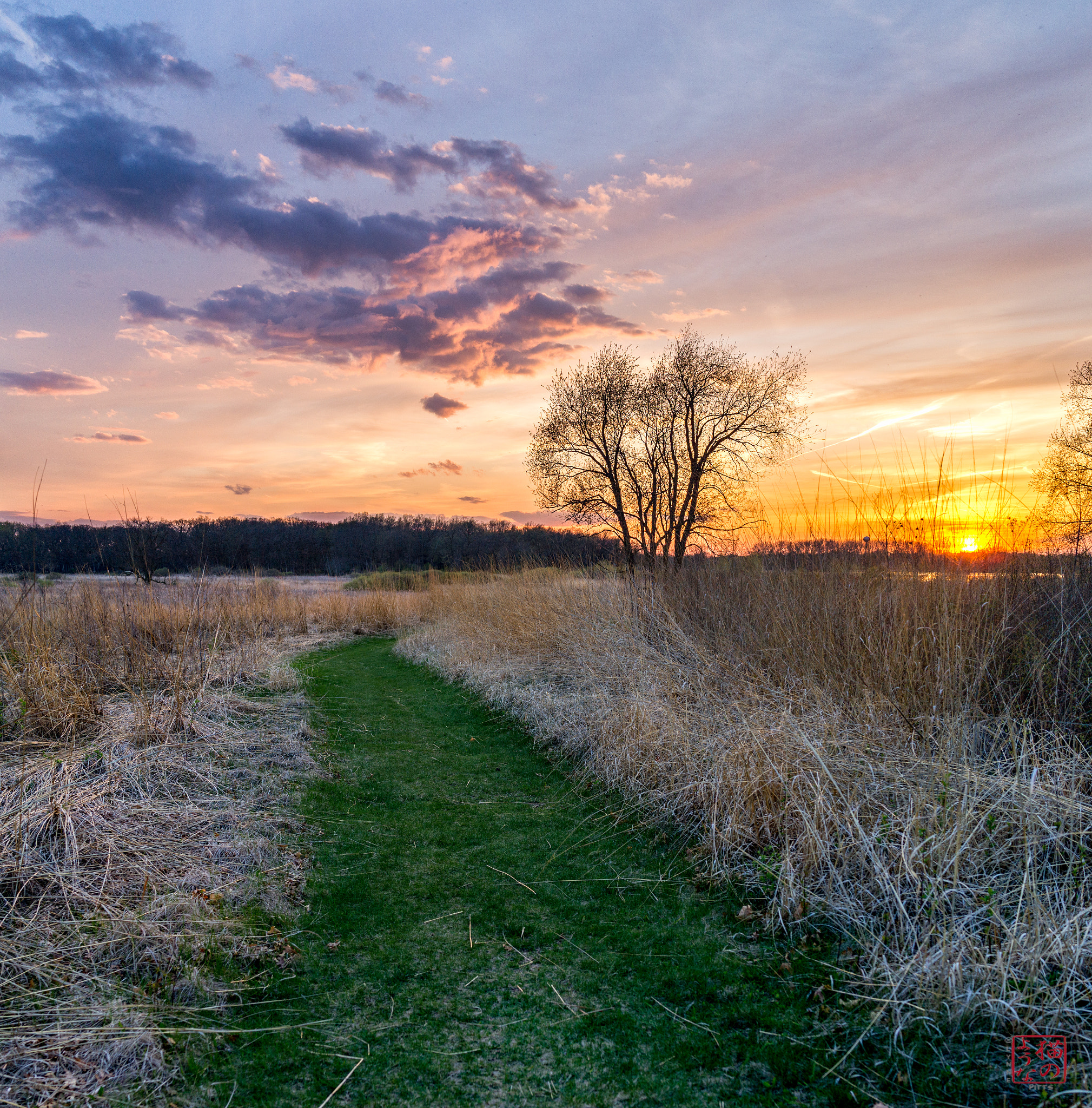 Sony Cyber-shot DSC-RX1 sample photo. Marsh sunset photography