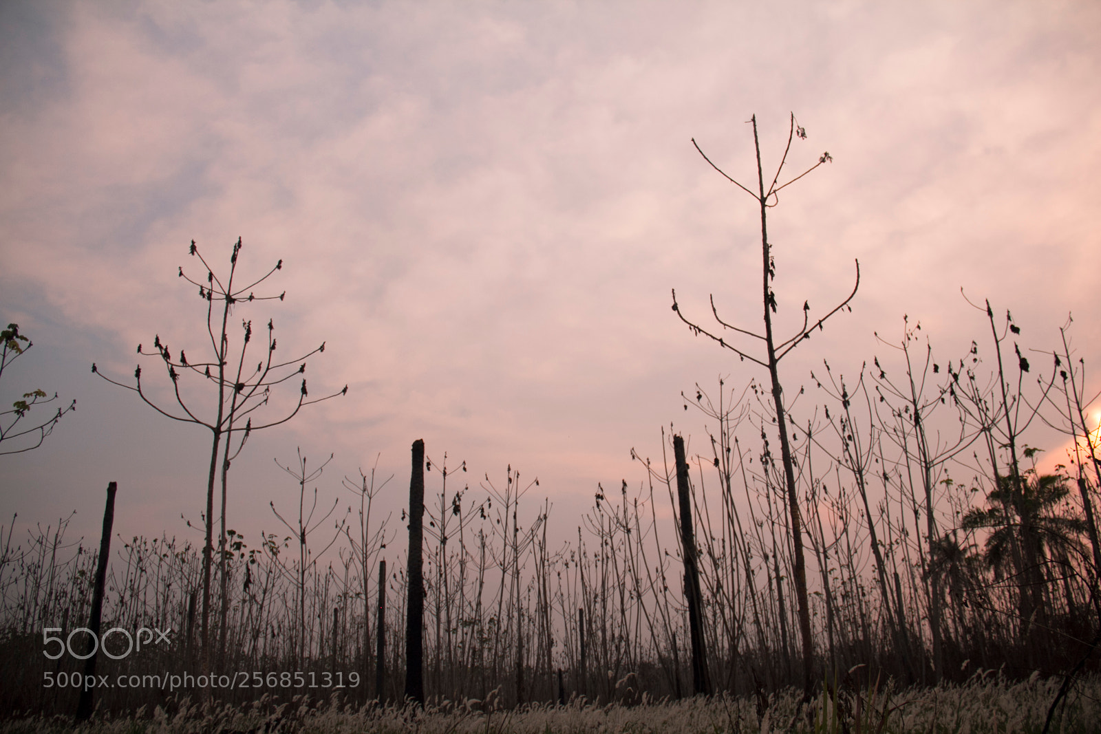 Canon EOS 60D sample photo. Atardecer photography