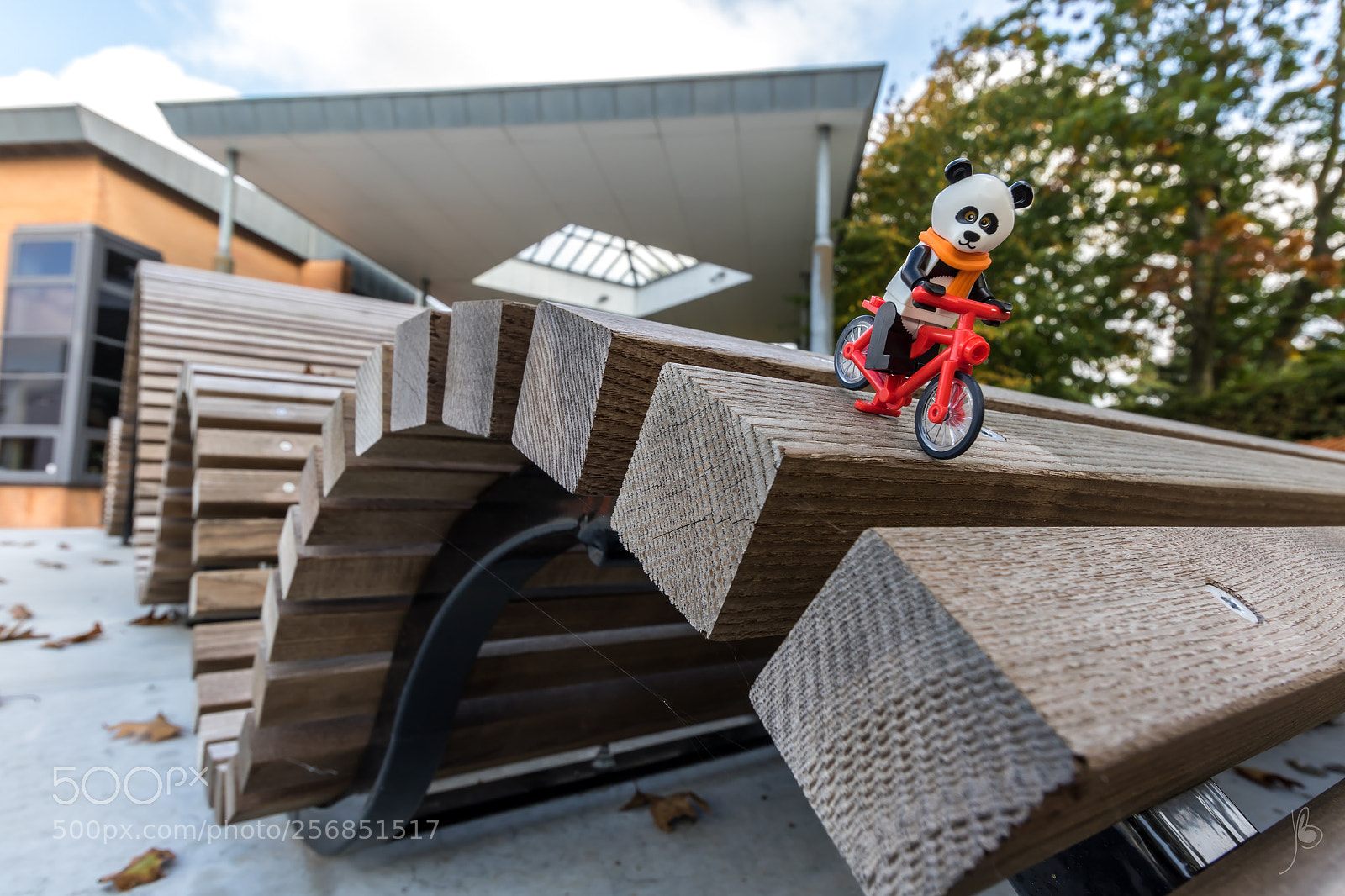 Canon EOS 7D Mark II sample photo. Panda on a bike photography
