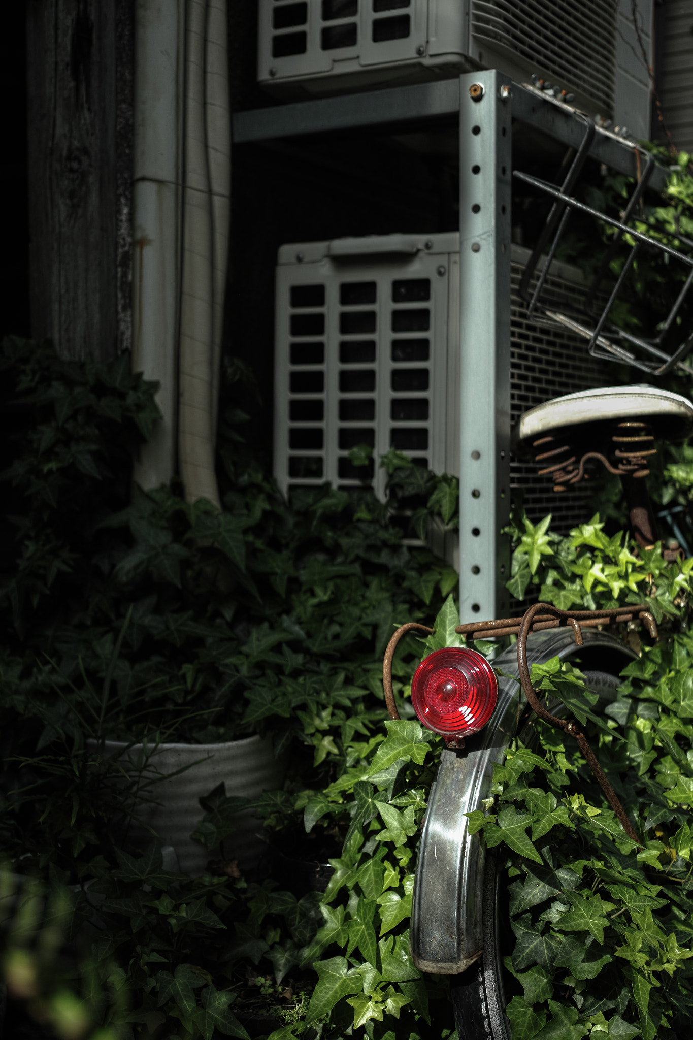 Sigma DP2 Merrill sample photo. Bicycle photography