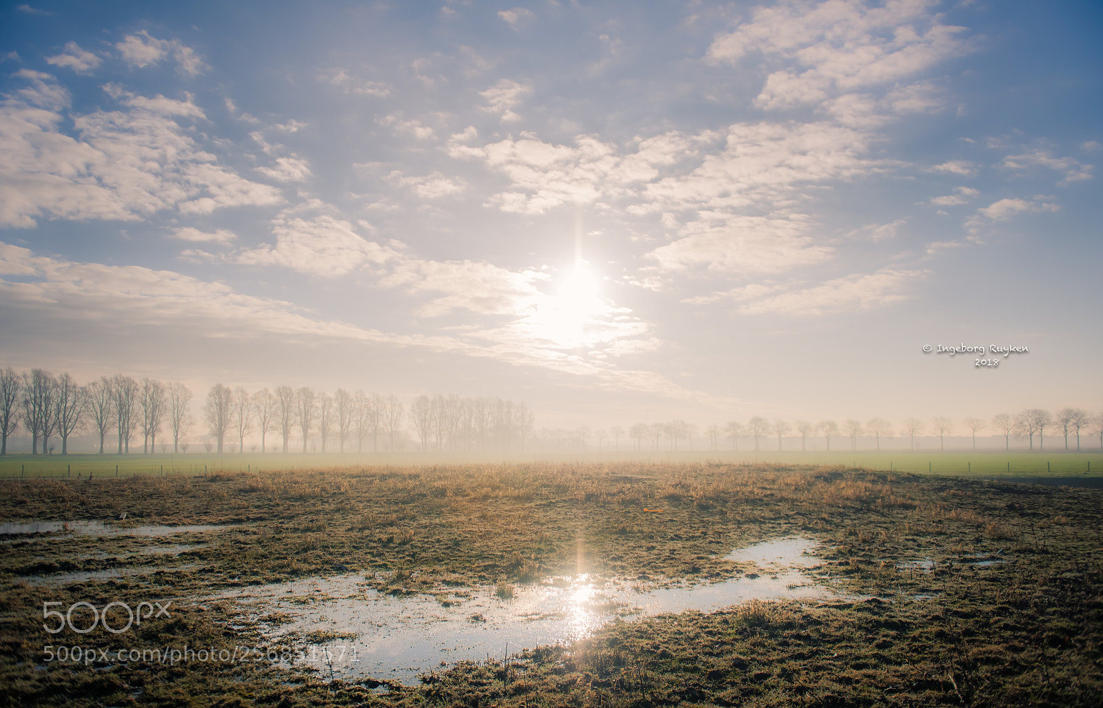 Nikon D800 sample photo. Crystal lake photography