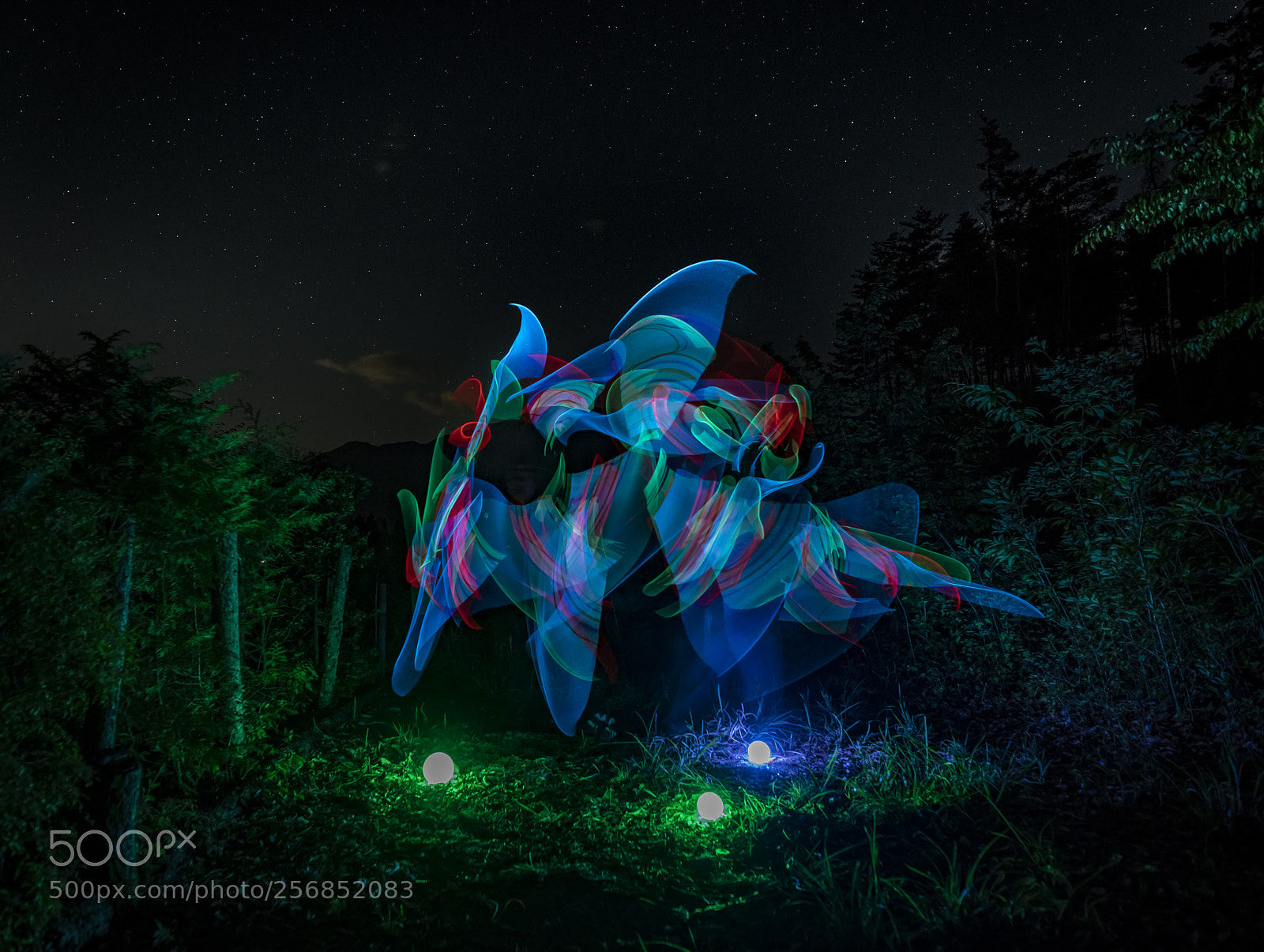 Sony a7R II sample photo. A life in night photography
