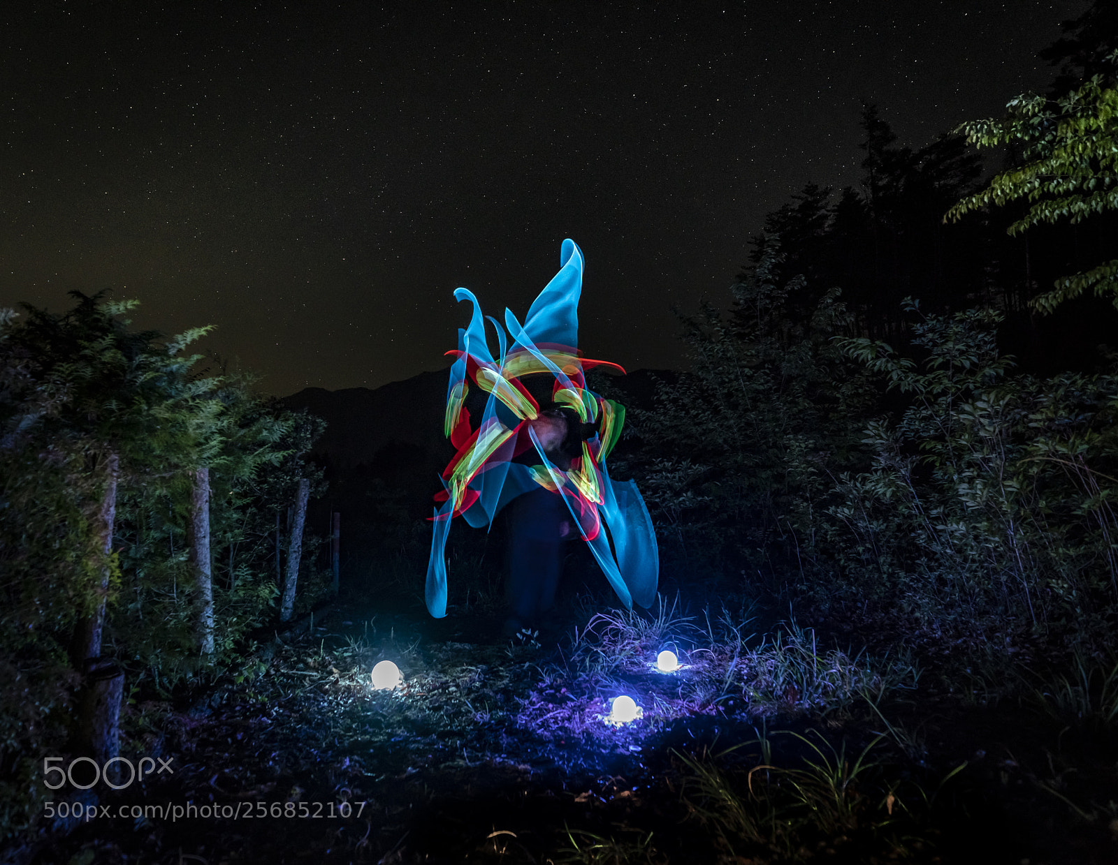 Sony a7R II sample photo. A life in night photography