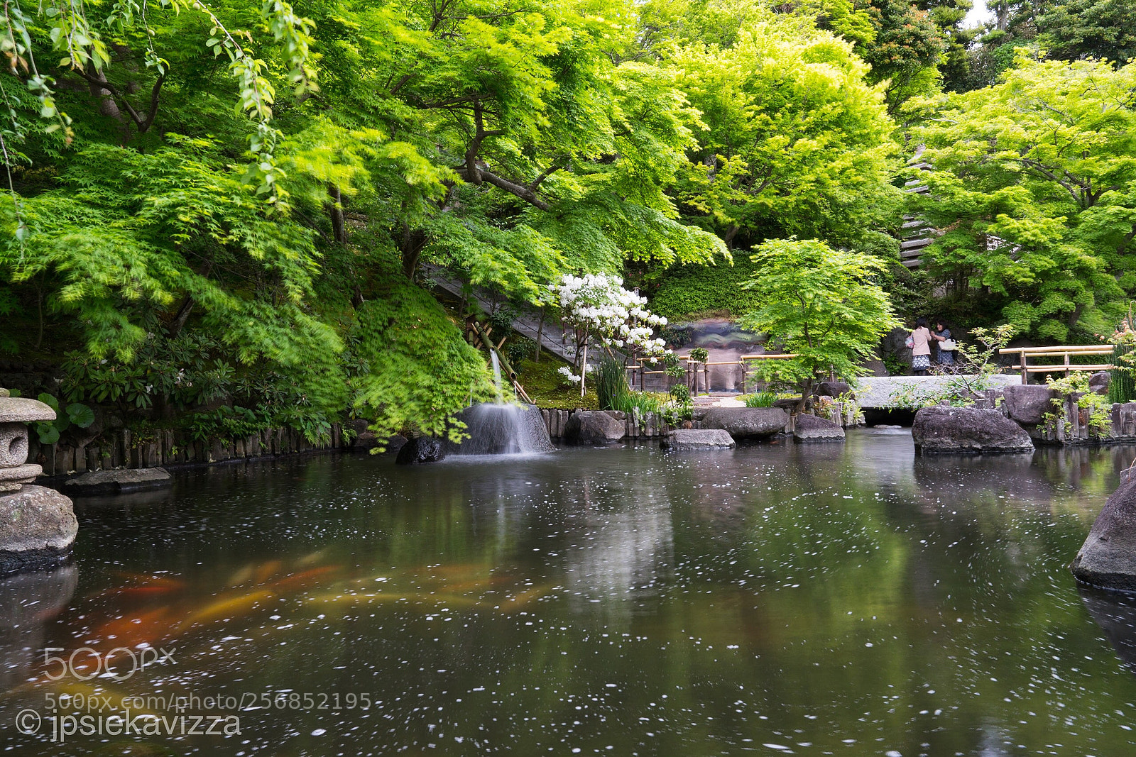 Sony a7R III sample photo. The garden photography