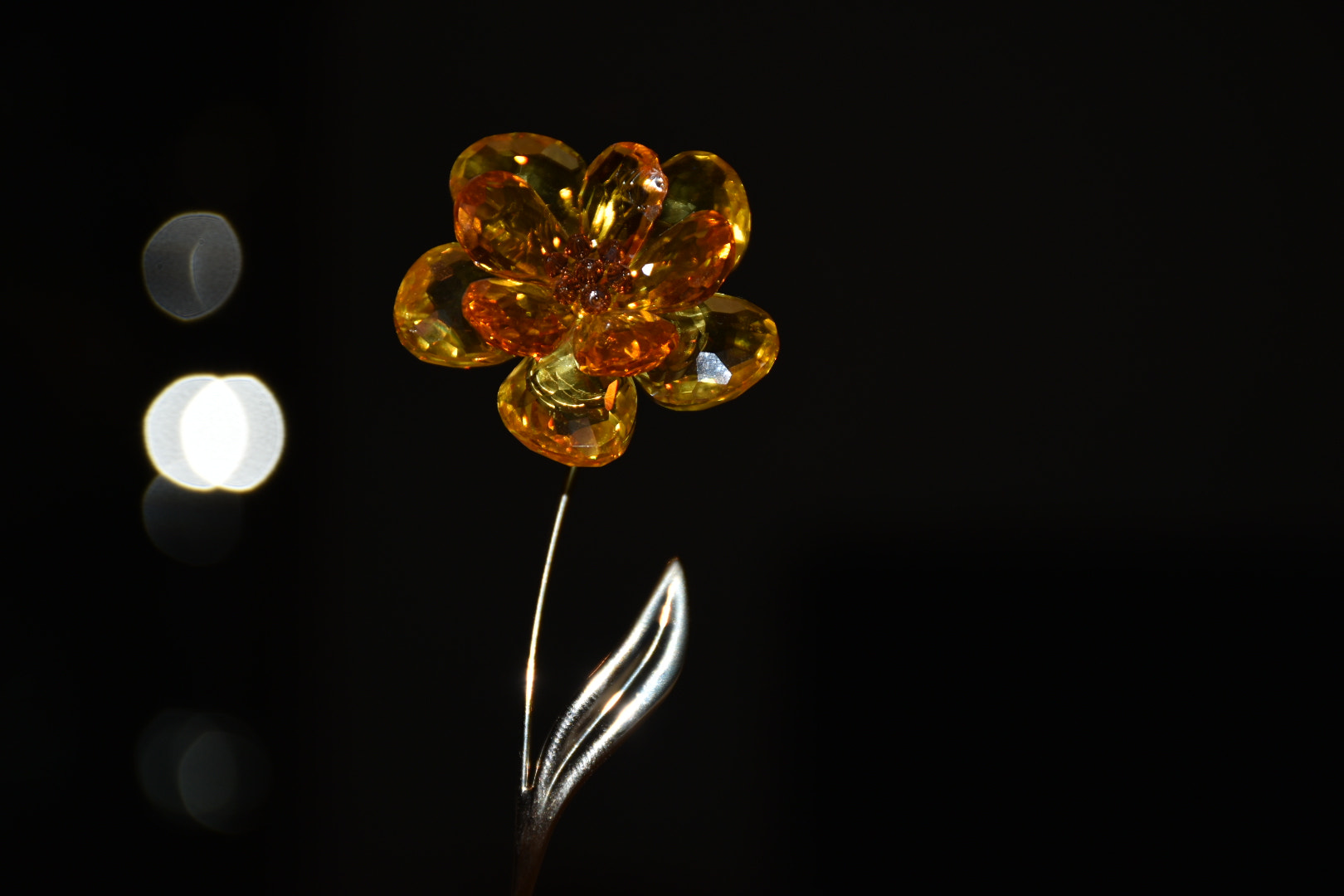 Nikon D5500 sample photo