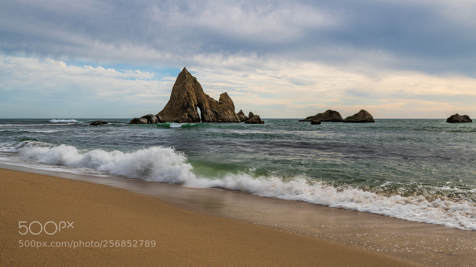 Nikon D850 sample photo. Martin's beach, california photography