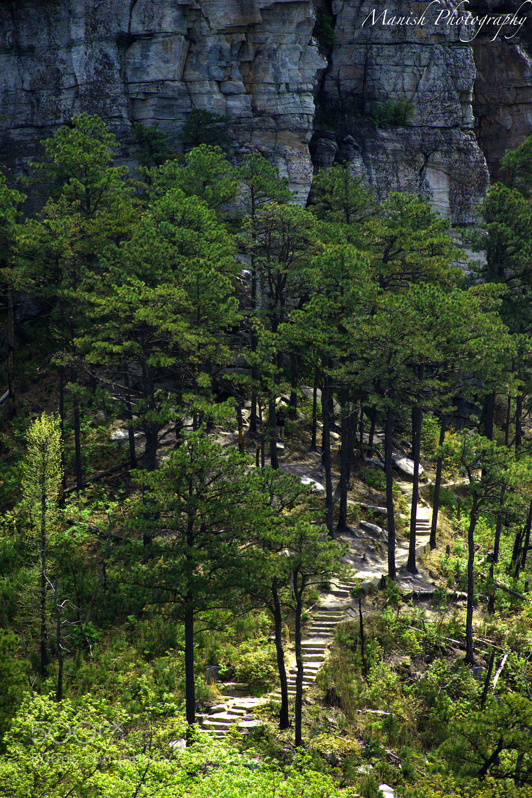 Nikon D5500 sample photo. Steps to heaven photography