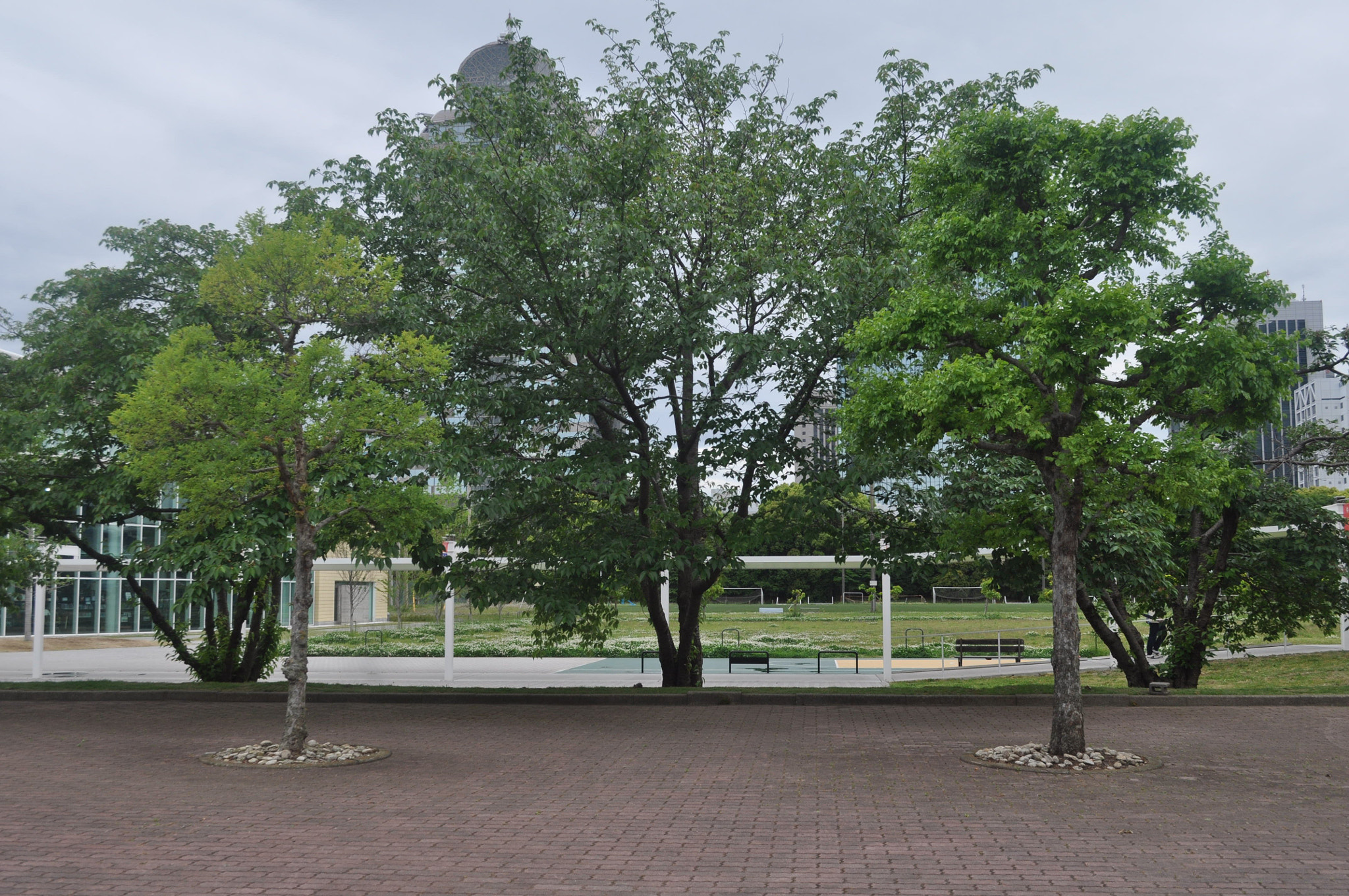 Nikon D5000 sample photo