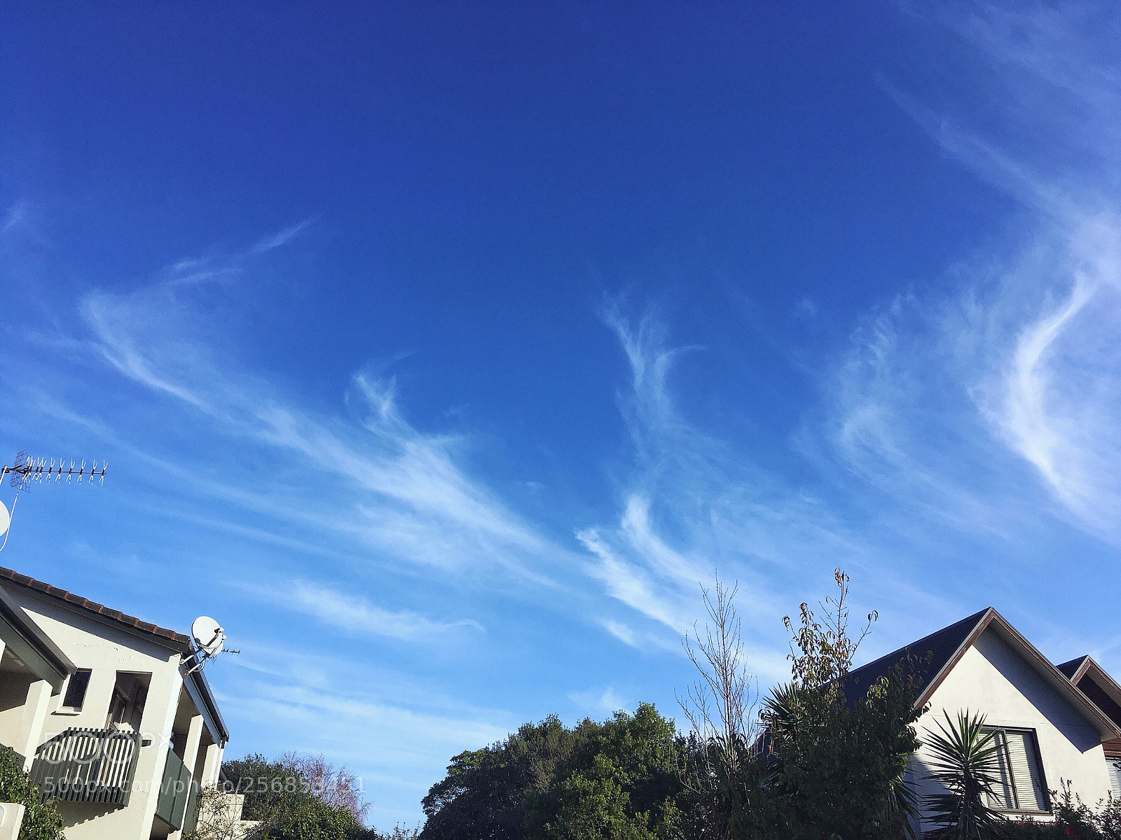Apple iPhone SE sample photo. The cloud ,auckland,new zealand photography