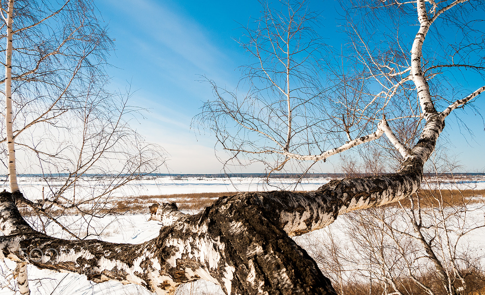 Nikon D300 sample photo. Bank of the river photography