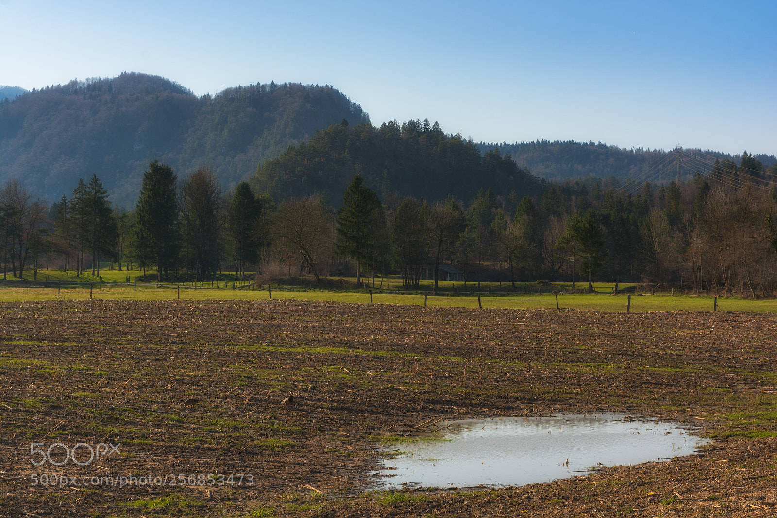 Nikon D7100 sample photo. Spring field photography
