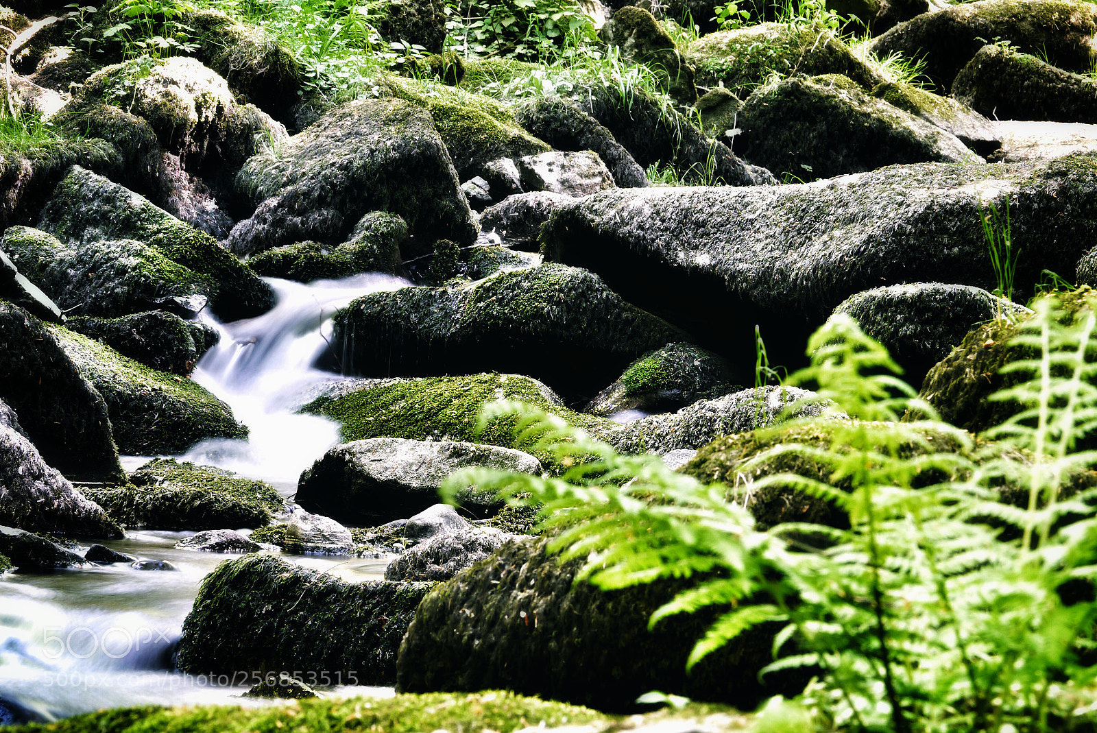 Panasonic Lumix DMC-G3 sample photo. Saußbach #126 photography