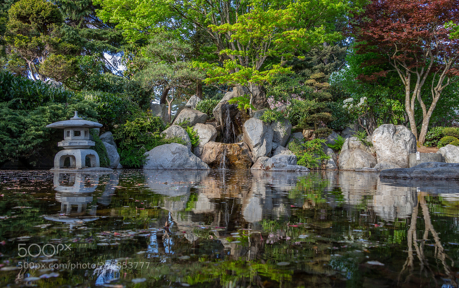 Canon EOS 700D (EOS Rebel T5i / EOS Kiss X7i) sample photo. Memorial park reflection photography