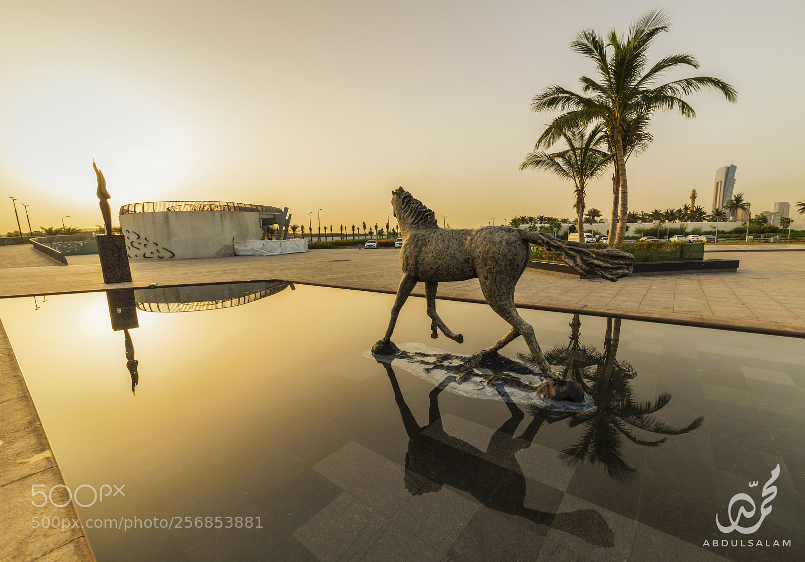 Nikon D610 sample photo. Horse photography