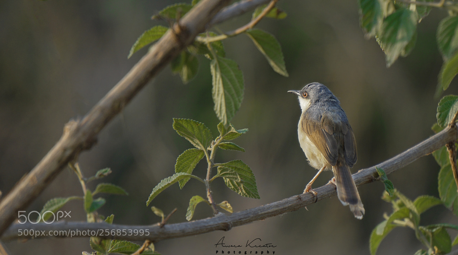 Sony a6000 sample photo. 71.jpg photography
