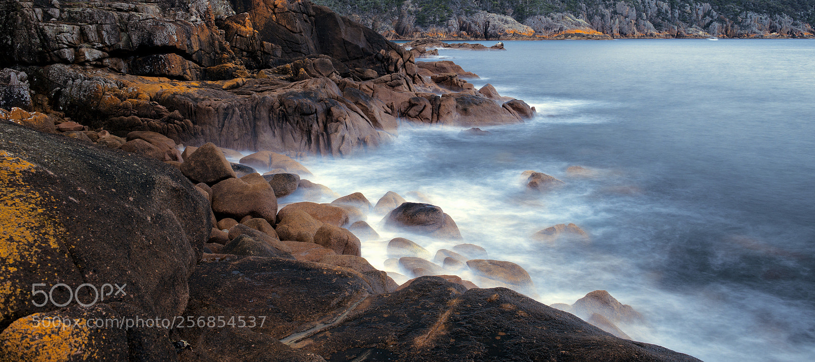 Nikon D800 sample photo. Sleepy bay in freycinet photography