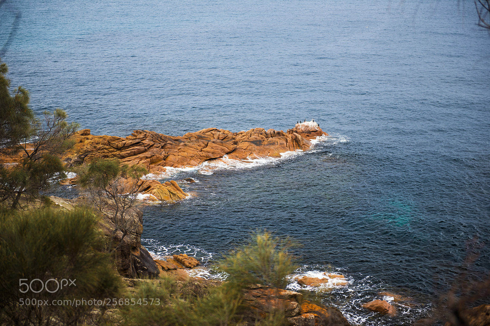 Nikon D800 sample photo. Sleepy bay in freycinet photography