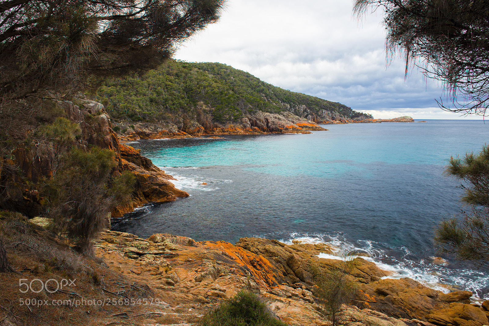 Nikon D800 sample photo. Sleepy bay in freycinet photography