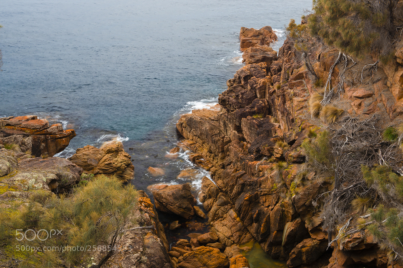 Nikon D800 sample photo. Sleepy bay in freycinet photography
