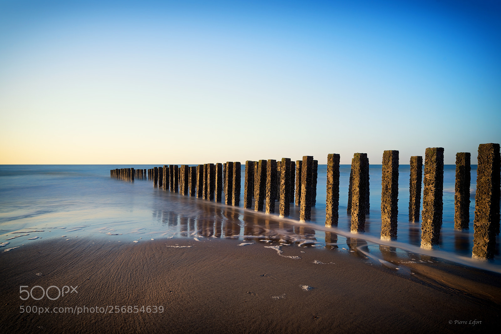 Nikon D800 sample photo. Belgian seascape photography