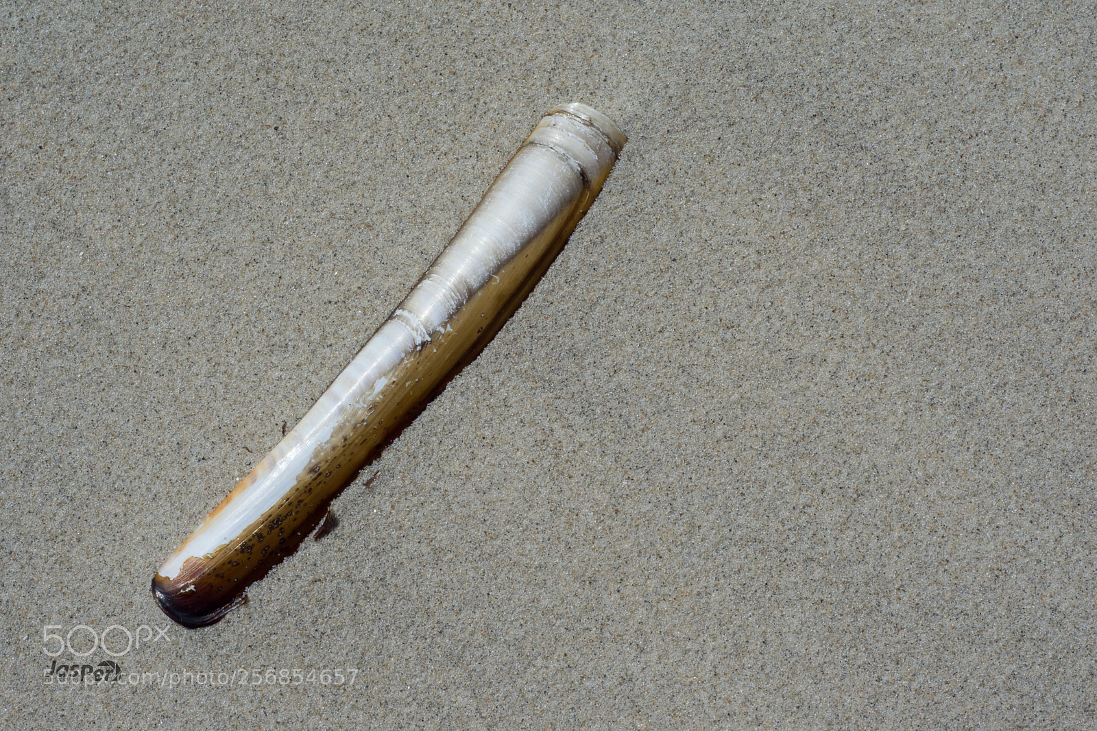 Nikon D7200 sample photo. Beach photography