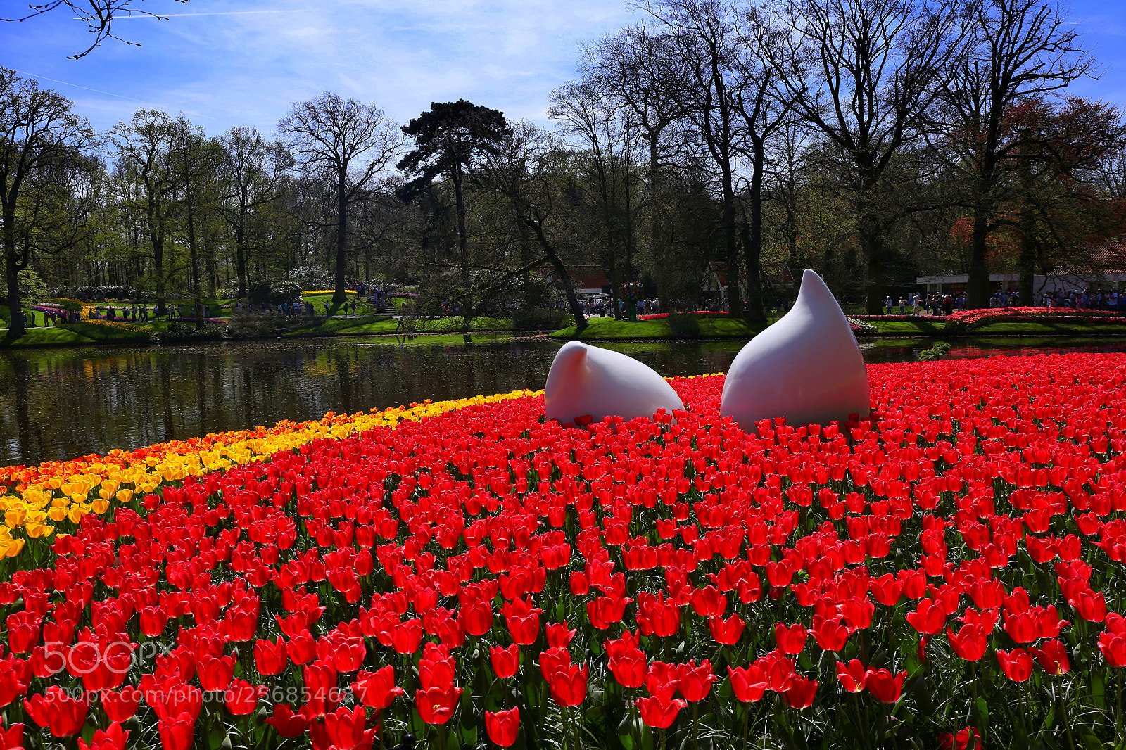 Canon EF 24-70mm F4L IS USM sample photo. Keukenhof photography