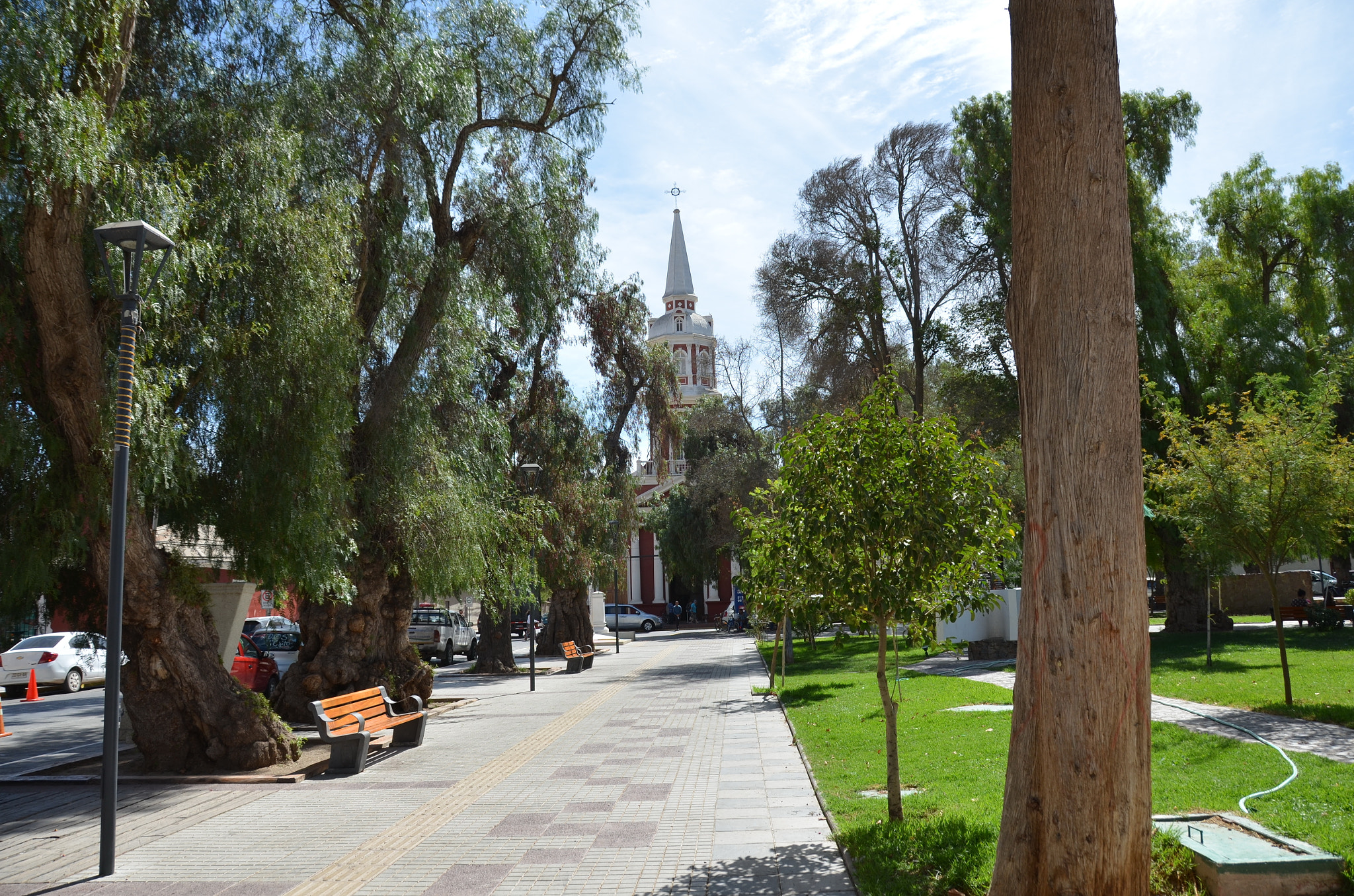 Nikon D5100 sample photo. Peaceful park photography