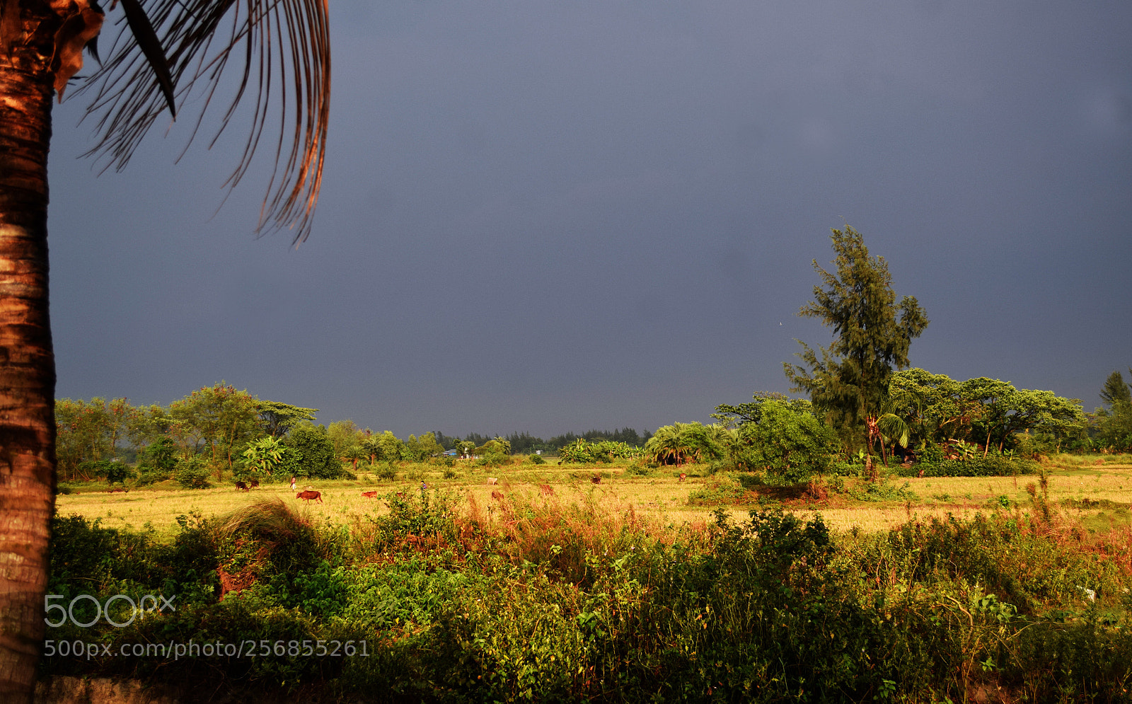 Nikon D3300 sample photo. Landscape photography