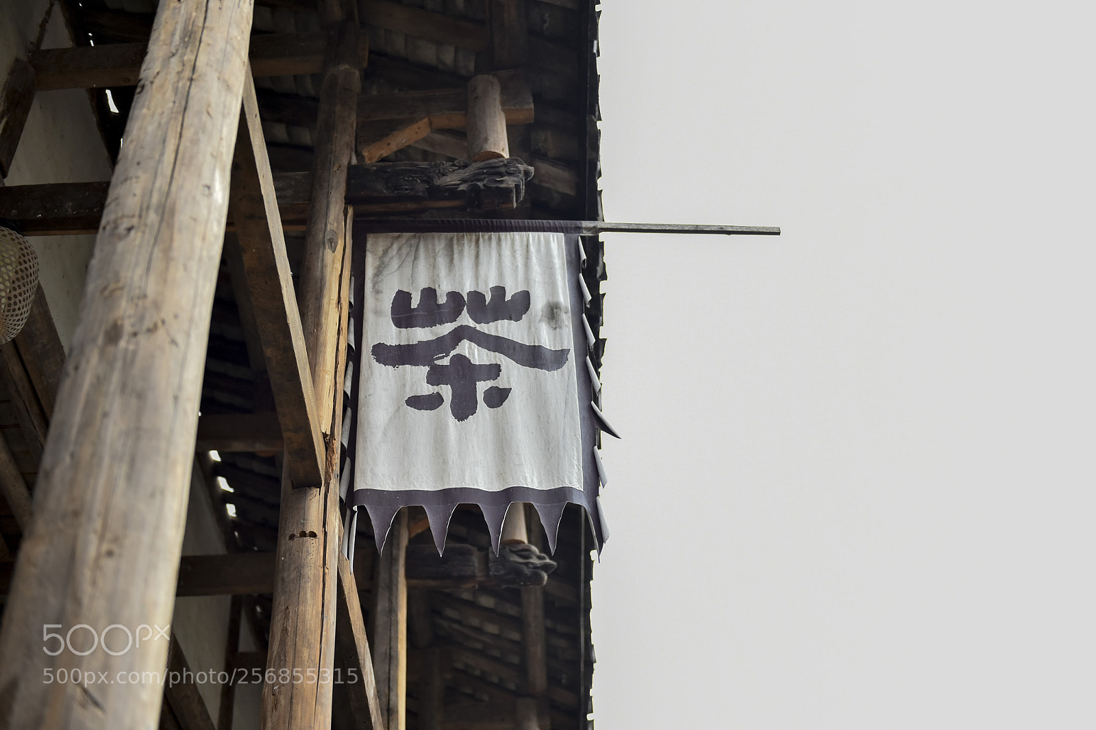Nikon D750 sample photo. Untitled photography