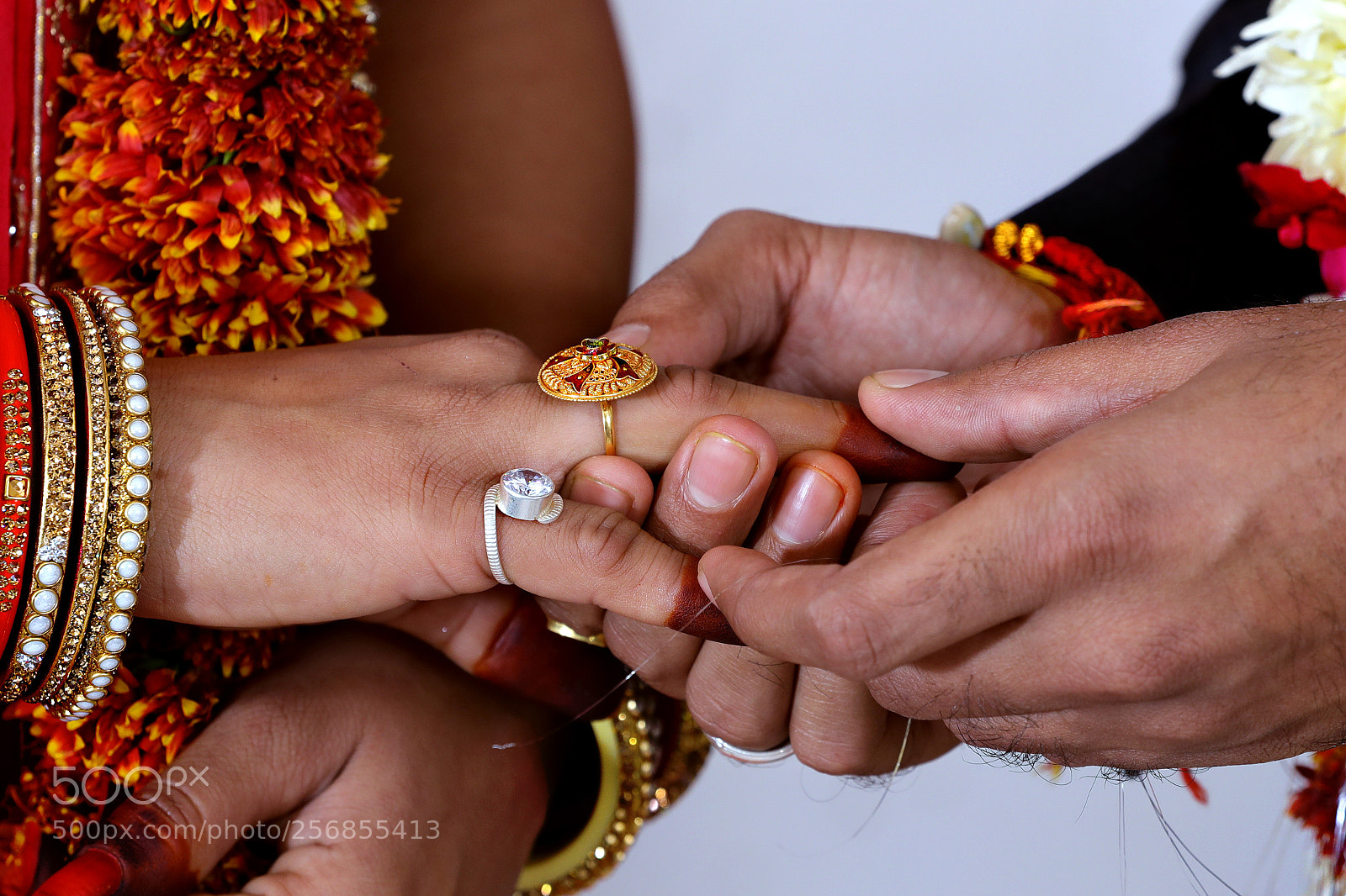 Canon EOS-1D X Mark II sample photo. Fere photography