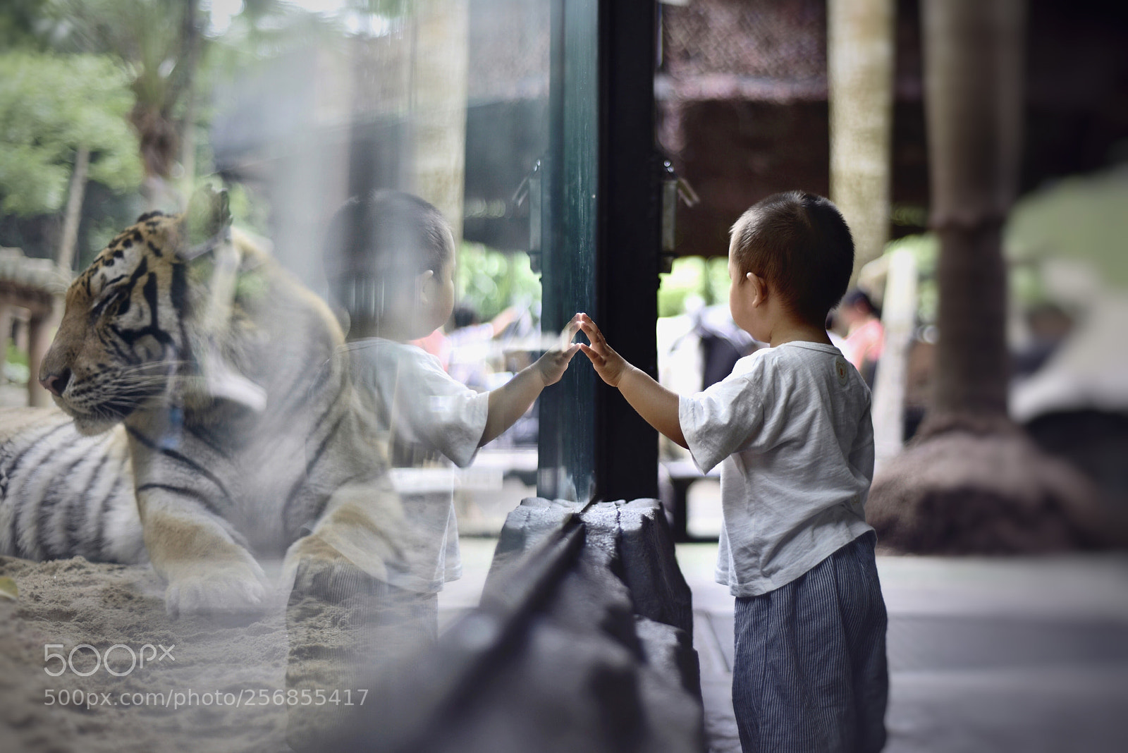 Nikon D810 sample photo. Untitled photography