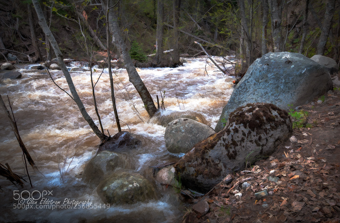 Nikon D300 sample photo. Creek off of bear photography