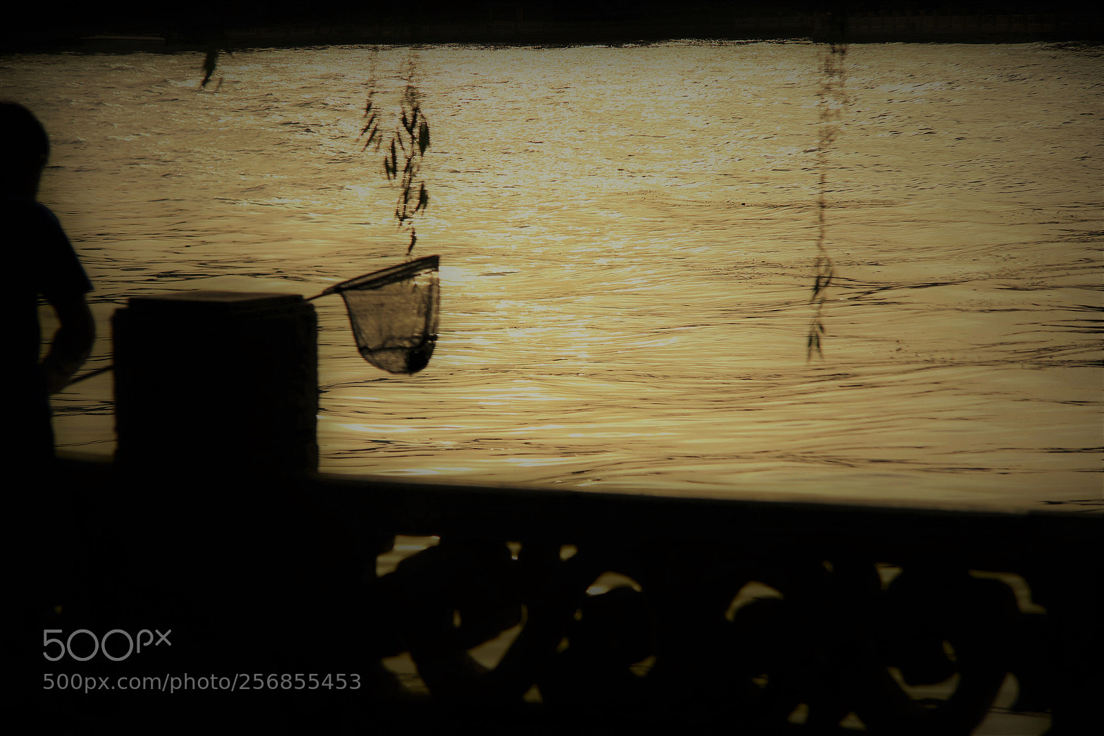 Canon EOS 70D sample photo. Untitled photography