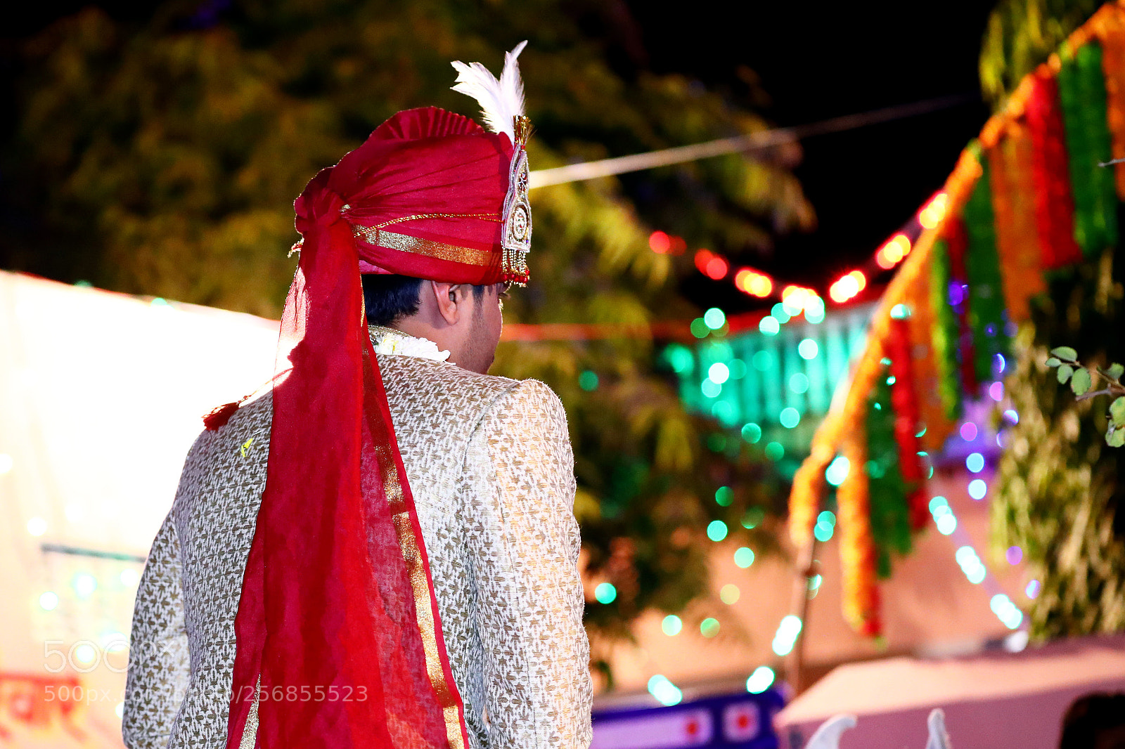 Canon EOS-1D X Mark II sample photo. Fere photography