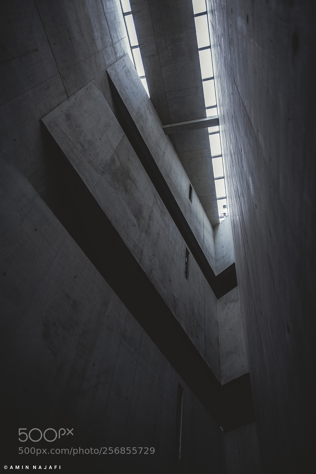 Nikon D750 sample photo. Light photography