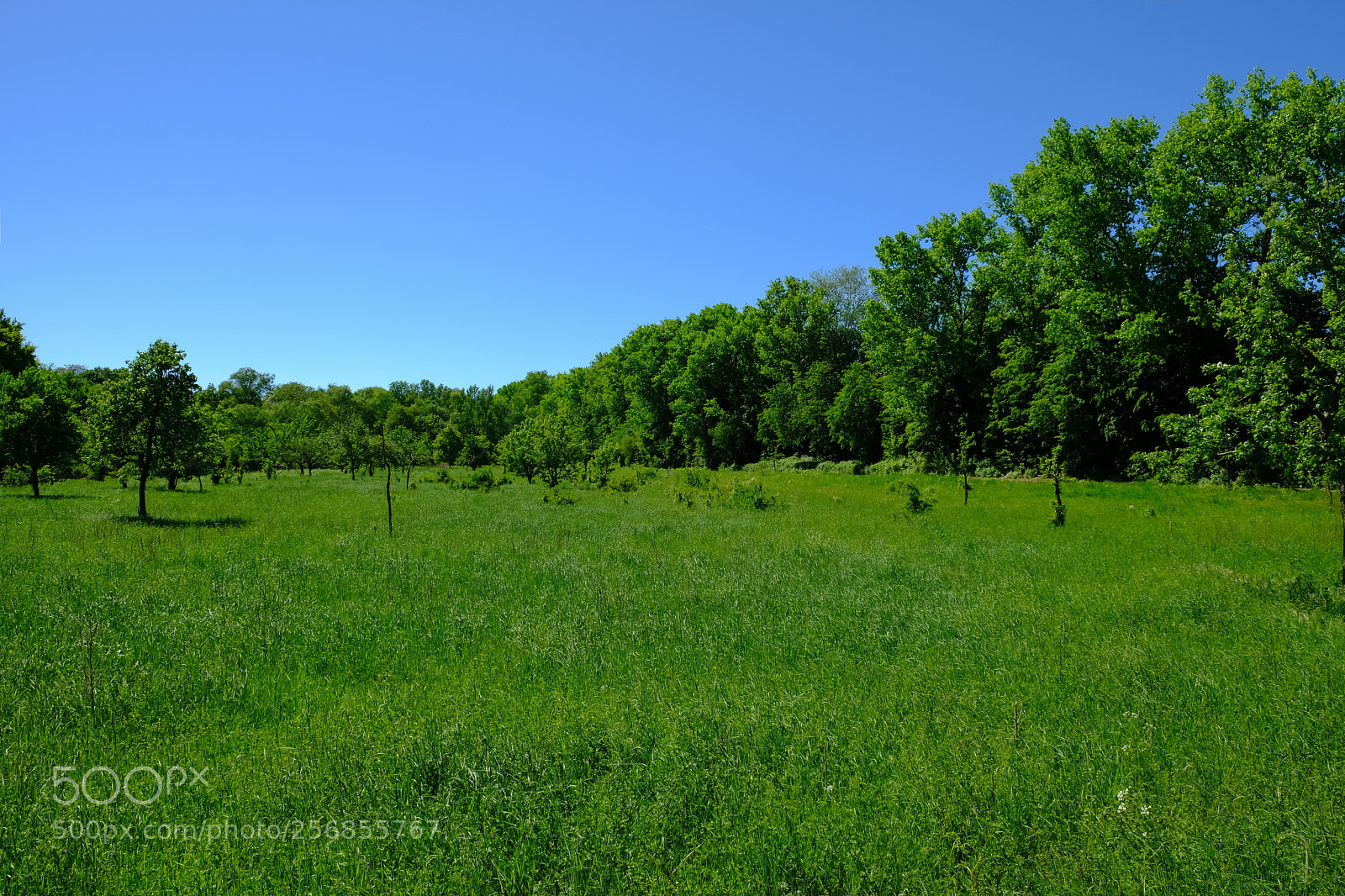 Fujifilm X-T20 sample photo. 'summerday' photography
