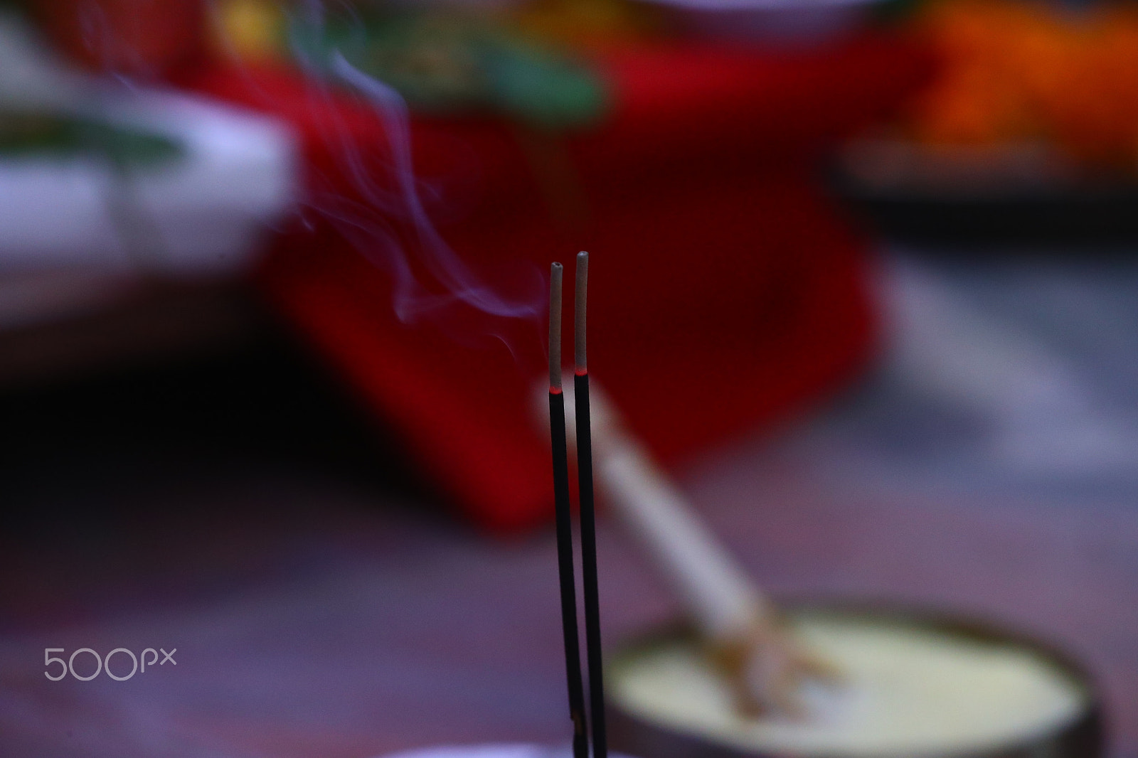 Canon EOS-1D X Mark II sample photo. Cbp photography